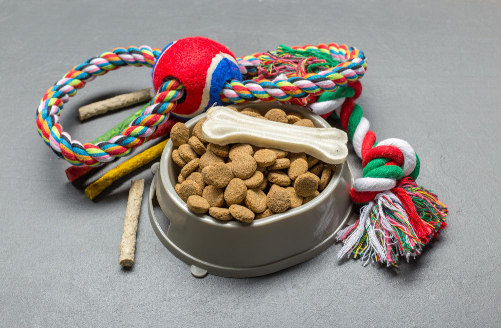 Pet Supplies