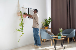 Home improvement
