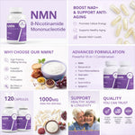 WINYEL Cellular Energy Complex Per Serving, 10-in-1 Formula, Zero Filler, With Vitamin C, Resveratrol, CoQ10, TMG, Quercetin & Glutathione Capsules