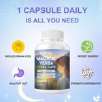 WINYEL Yerba Mate Capsules  75mg Natural Caffeine Per Capsule  Natural Plant-Based Energy & Focus Support  Supports Mental Clarity & Digestive Wellness Gut Health  60 Capsules