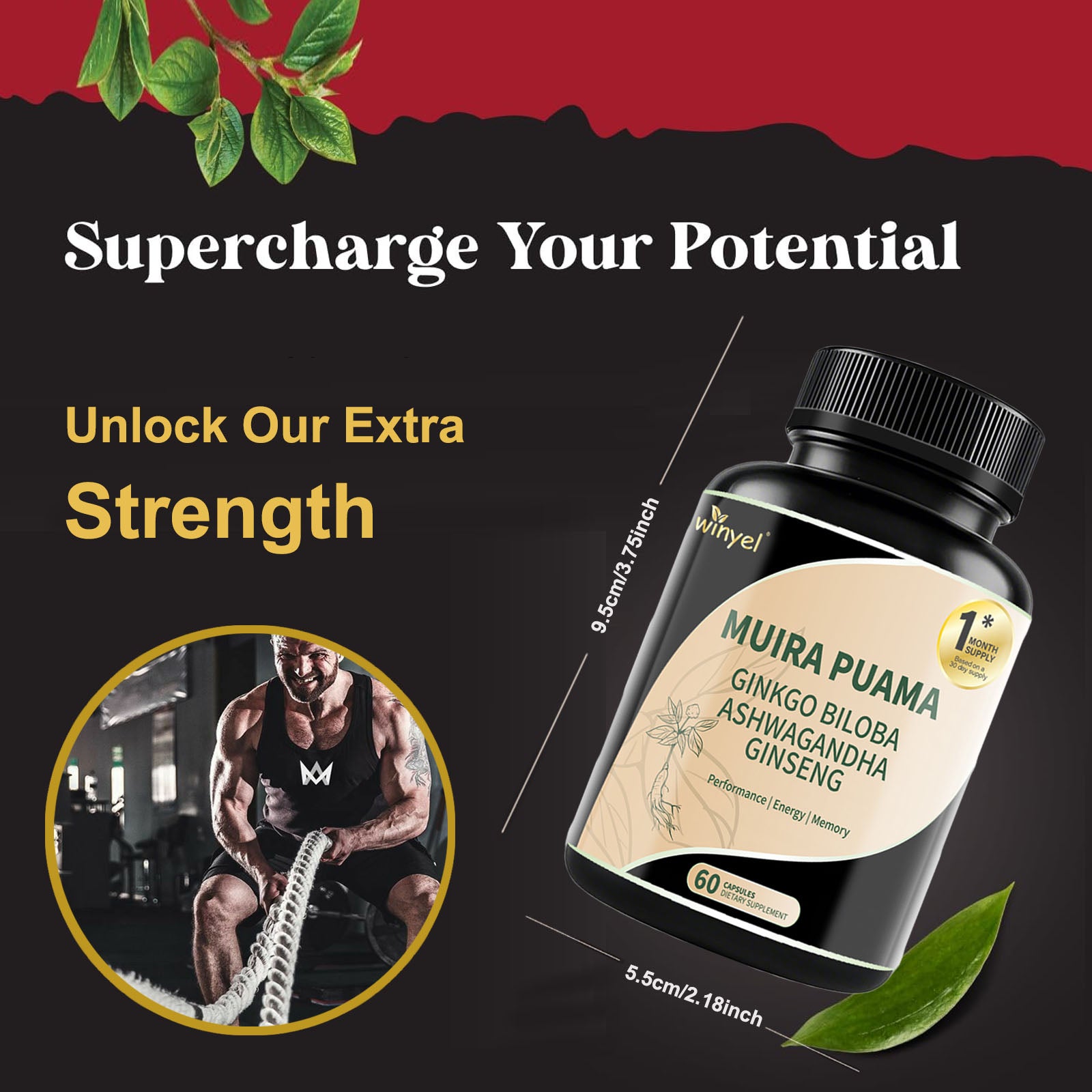 Muira Puama Ginseng Ashwagandha Ginkgo Tribulus  Herbal Supplements  Unleash Your Potential Through Our Pills  Dietary Supplements, Help Promote An Active And Healthy Lifestyle  60 Capsules