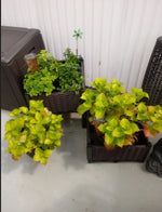 Raised Garden Bed With Legs, Self-Watering Planter Box Raised Bed To Grow Flowers