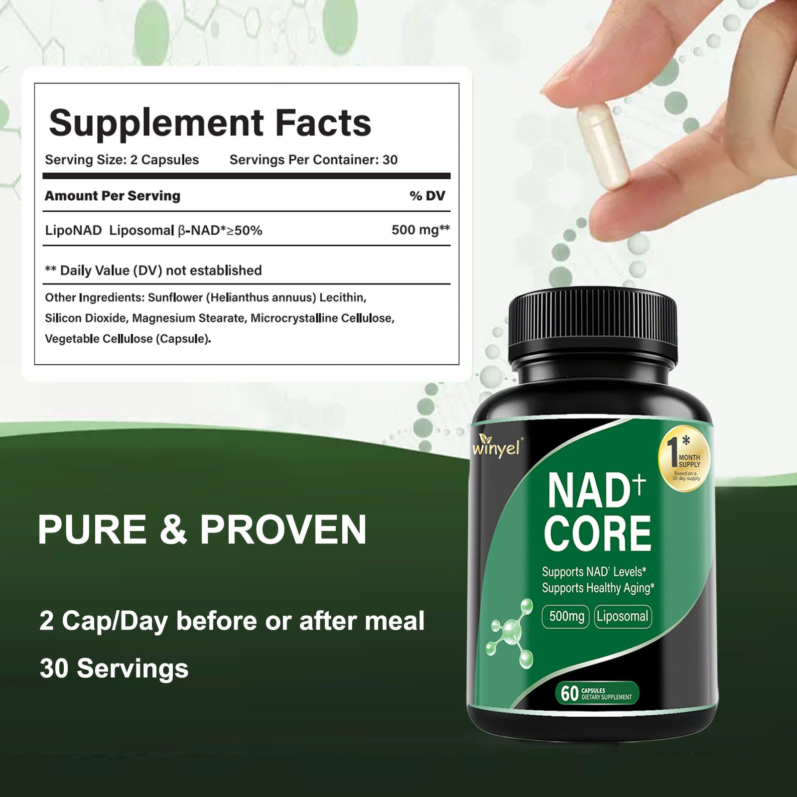 60 Capsules Of High-concentration Liposomal NAD Enhancer - Energy, Focus, And Healthy Aging, Containing Nicotinamide Riboside, Resveratrol, And Rutin - High-quality, High-purity Formula