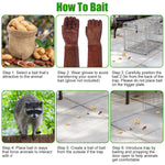 1Pc Humane Cat Trap Cage With Gloves Catch Release Live Animal Rodent Cage Collapsible Galvanized Wire For Raccoons Beavers Groundhogs Foxes Armadillos