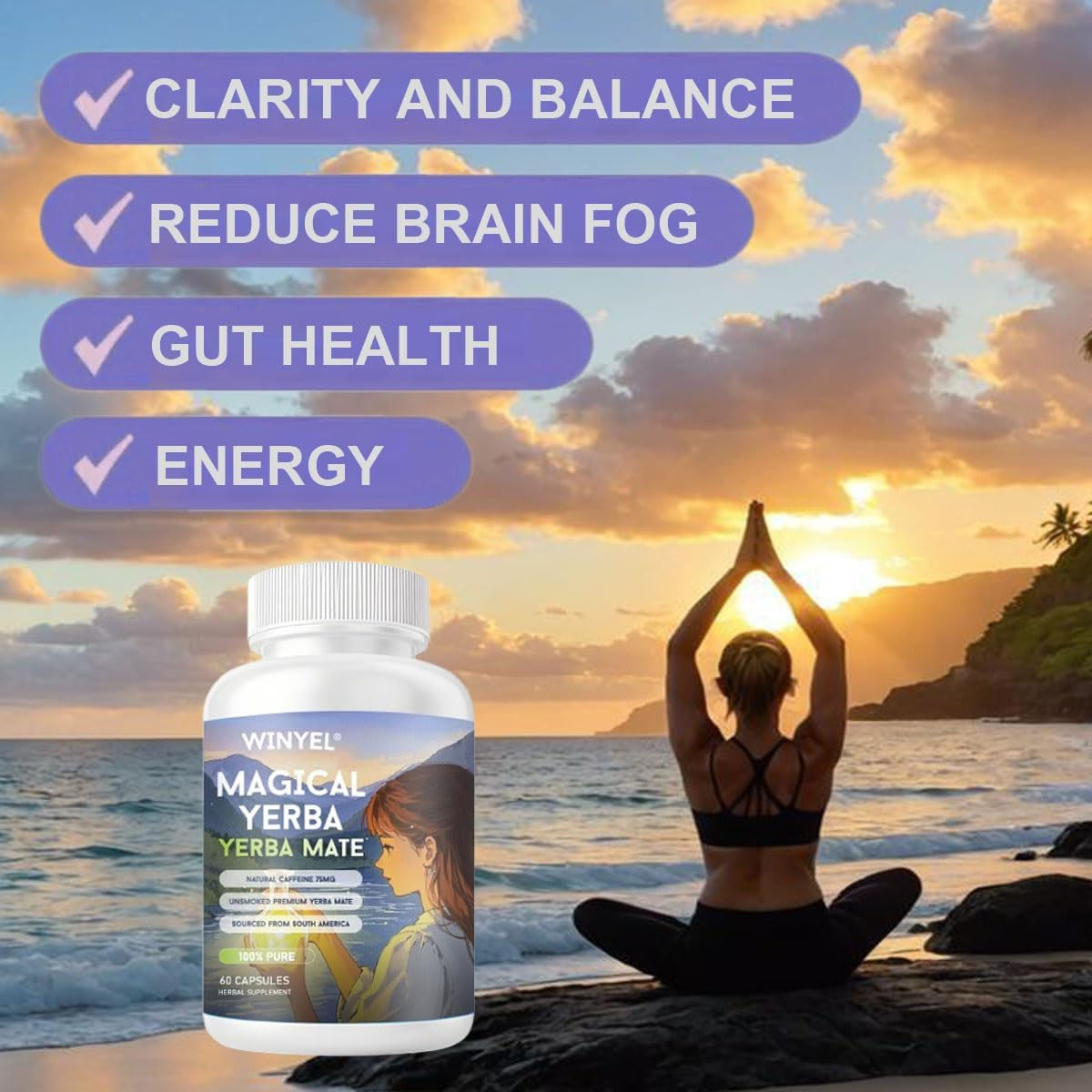 WINYEL Yerba Mate Capsules  75mg Natural Caffeine Per Capsule  Natural Plant-Based Energy & Focus Support  Supports Mental Clarity & Digestive Wellness Gut Health  60 Capsules