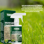 Plant Greening Agent Maintenance And Color Enhancement