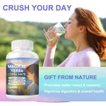 WINYEL Yerba Mate Capsules  75mg Natural Caffeine Per Capsule  Natural Plant-Based Energy & Focus Support  Supports Mental Clarity & Digestive Wellness Gut Health  60 Capsules