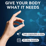 Best-selling Zinc Magnesium Complex Capsules 90 Capsules High Absorption