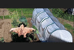 Portable Tunneled Greenhouse With 4 Zippered Doors, Water UV Fighting PVC Cover