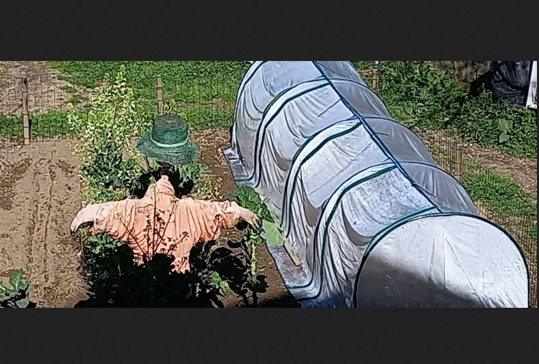 Portable Tunneled Greenhouse With 4 Zippered Doors, Water UV Fighting PVC Cover