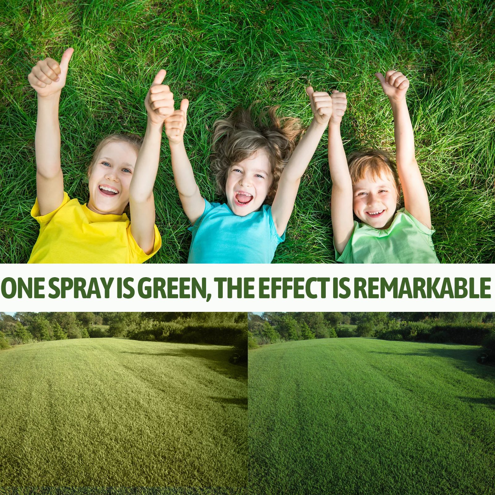 Plant Greening Agent Maintenance And Color Enhancement