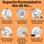 Dog Prebiotics Digestive Snacks Intestinal Health Pet Health Care Products
