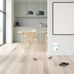 6 Packs Ultrasonic Pest Repellers Electric Plug-In Indoor Pest Control Mouse Repellent Chaser Deterrent Rodent Chaser For Home Kitchen Office Warehouse Hotel 22-65kHz