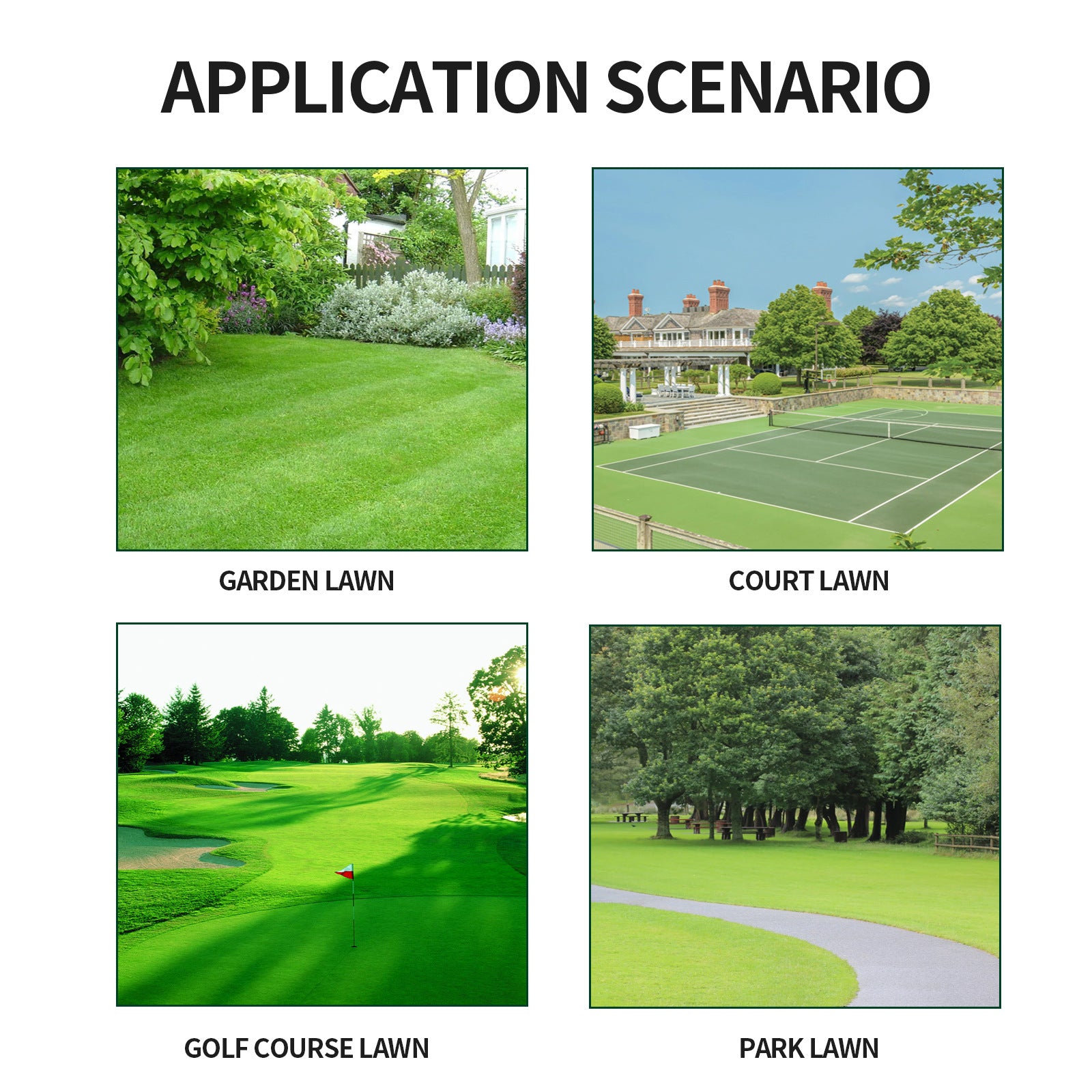 Plant Greening Agent Maintenance And Color Enhancement