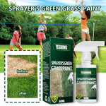 Plant Greening Agent Maintenance And Color Enhancement