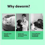 Pet Itching Relief Health Care Products